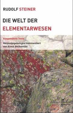 Die Welt der Elementarwesen von Rudolf Steiner Verlag